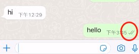 whatsapp一个勾和两个勾的区别 发送状态单钩双钩含义介绍[多图]图片4