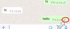 whatsapp一个勾和两个勾的区别 发送状态单钩双钩含义介绍[多图]图片5